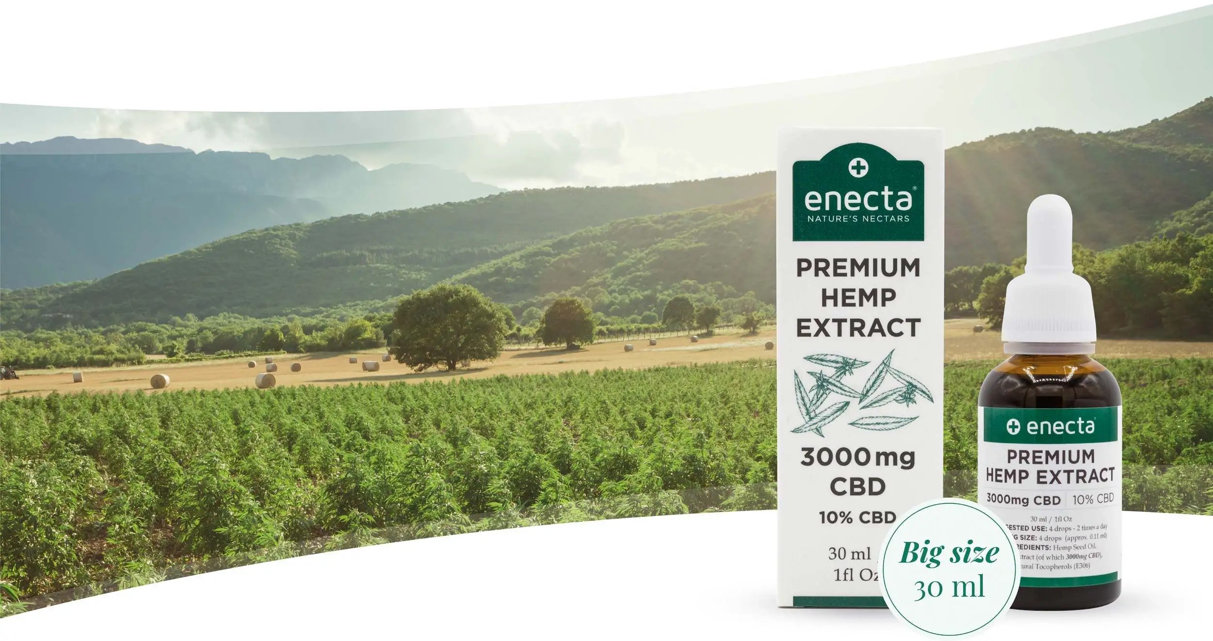 In-Depth Enecta CBD Products Review – Your Ultimate Guide to Nature’s Best Offers!